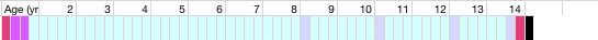 health chart