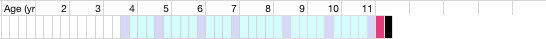 health chart